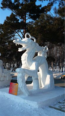 Снежный дракон (Китай)