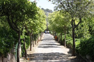 Мальта. Сады Бускет (Разное)