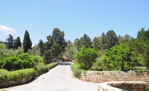 Мальта. Сады Бускет (Разное)