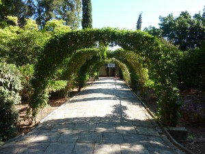 Аллея в саду Сан-Антон (Разное)