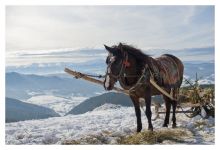 Славское. Местное транспортное средство, вездепроходимое