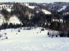 И еще спуск... (Карпаты и Закарпатье)