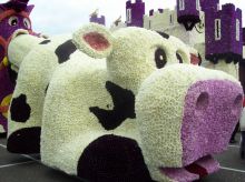 Экспонаты с Bloemencorso 2008 (Голландия)