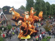 Сурикаты. Фестиваль цветов Bloemencorso 2008 (Голландия)