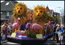 Композиция "Сафари" на фестивале Bloemencorso 2008 (Голландия)