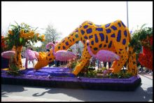 Композиция "Сафари" на Bloemencorso 2008 (Голландия)