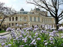 И снова Оперный, в весенних цветах