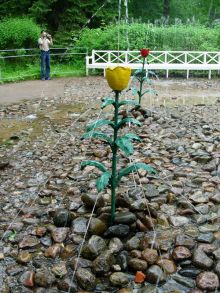 Фонтан-шутиха "Розы" (Санкт-Петербург и область)