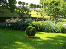 Недалеко от сада Венеры (Санкт-Петербург и область)