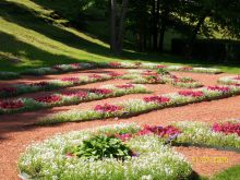 Клумбы в Нижнем саду (Санкт-Петербург и область)