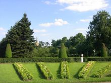 Верхний парк, та же клумба с тюльпанами, но в другое время (Санкт-Петербург и область)
