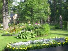 Цветник возле дворца "Коттедж" (Санкт-Петербург и область)