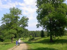 Парк Александрия в Петергофе. Фото al-spbphoto.narod.ru (Санкт-Петербург и область)