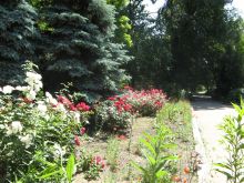 Аллеями зоопарка (Одесса и область)