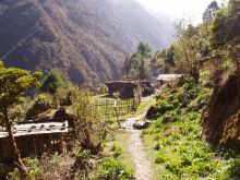 Еще одна ферма в ущелье Ровалинг. Прекрасная возможность увидеть различные уклады Непала от разведения яков до выращивания риса (Непал)