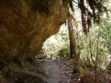 Тропа вьется по краю скалы. Очень живописно, скала и кроны деревьев смыкаются над головой