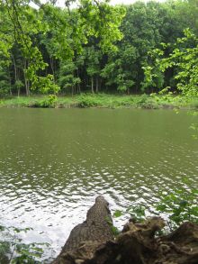 Пейзажи реки Ворсклы (Полтава и область)