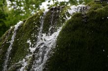 Водопад "Серебряные струи". Шапка из мха вблизи (Крым)