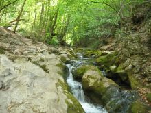 Быстрая речка Аузун-Узень (Крым)