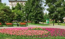 Сад "Эрмитаж" (Москва и Подмосковье)