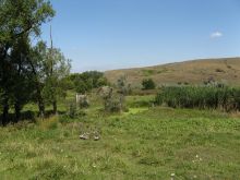 На окраине села Белокузьминовка, недалеко от меловых скал (Донецк и область)