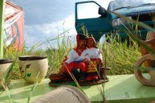 Поделки мастеров (Киев и область)