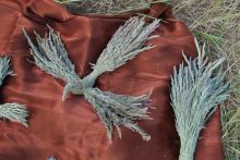 Птички из травы. Такими игрались наши пращуры (Киев и область)