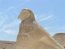 Статуя Гора у одноименного храма (Египет)