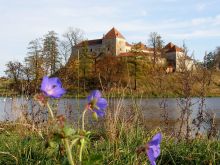 Свиржский замок (Львов и область)