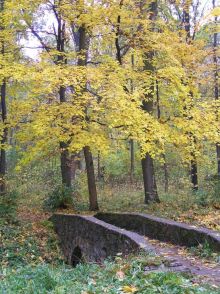 Каменный мостик через ручеек