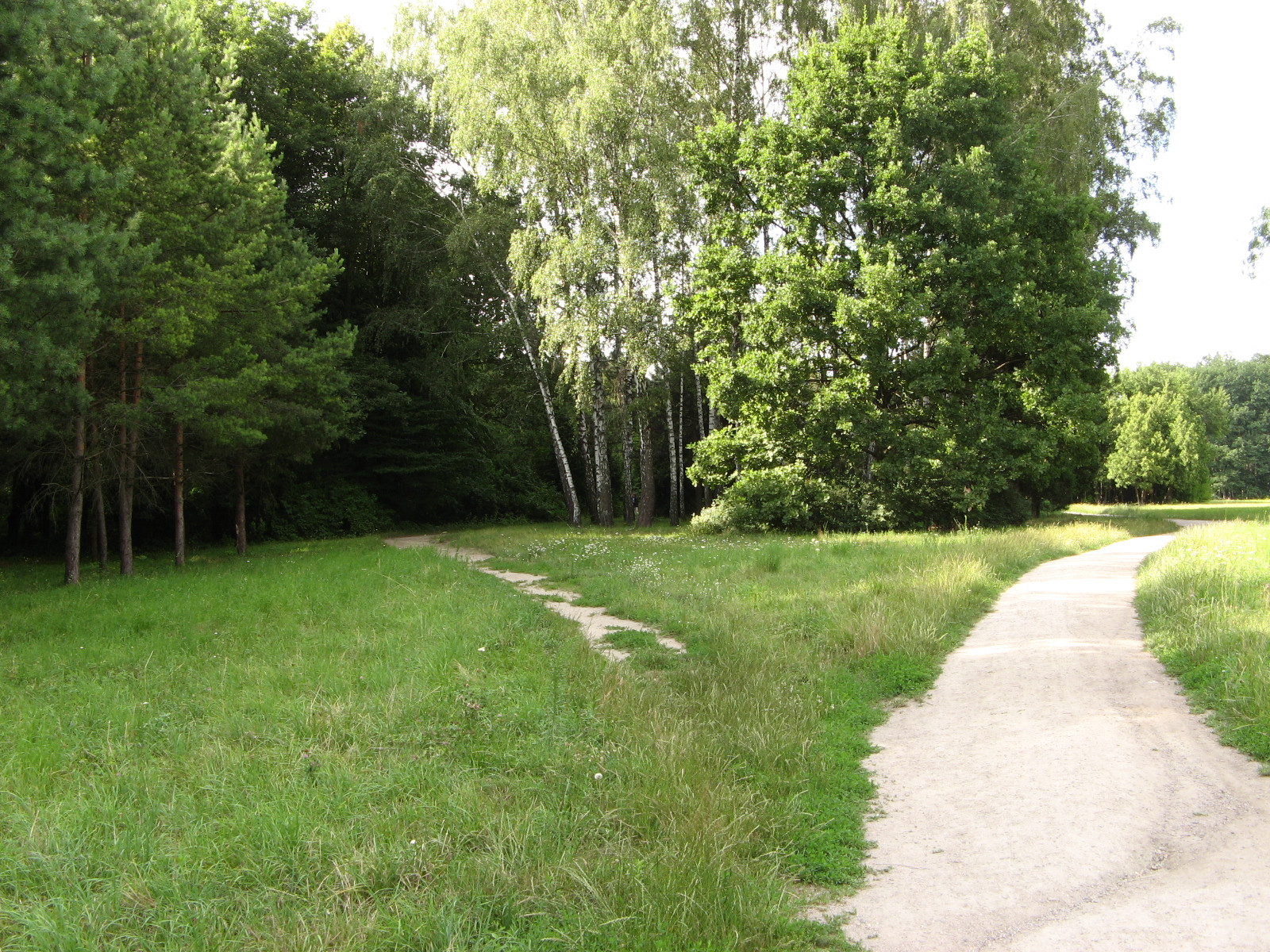 Фото достопримечательностей Белой Церкви: Тропы и тропинки парка, а общая их протяженность более 20 км.