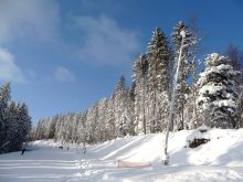  (Карпаты и Закарпатье)