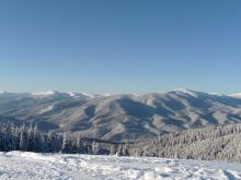 Склоны гор покрыты елями - это настоящие легкие Украины (Карпаты и Закарпатье)