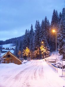 Коттеджный городок в Буковеле (Карпаты и Закарпатье)