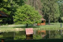 В пруду, имевшем когда-то форму Австро-Венгерской империи, теперь живут лебеди