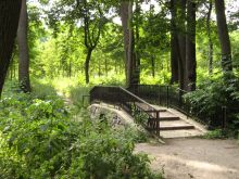 Парк Александрия. Мостик через ручей