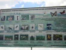 Еще один информационный плакат о флоре и фауне Дивногорья (Европейская часть России)