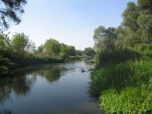 Речка Тихая Сосна в Дивногорье