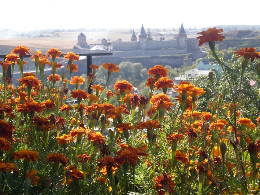 Фото достопримечательностей Каменец-Подольского: Каменец &mdash; единственный город-крепость в мире, расположенный на полуострове площадью, который омывается рекой 