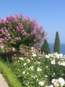 Одна из клумб в нижнем парке