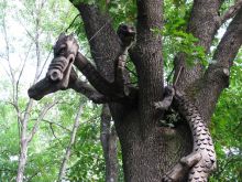 Змей Горыныч - деревянная скульптура в дендропарке (Харьков и область)