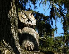 Деревянная сова - еще один сказочный персонаж парка (Харьков и область)