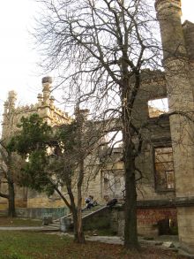 Северный фасад и лестница к одному из входов в замок (Одесса и область)