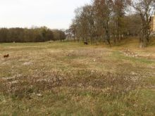 Сложно представить на этом месте ландшафтный парк с мостиком, дорожками и оранжереей. (Одесса и область)