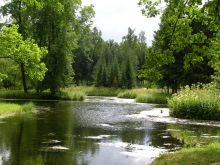 Ландшафтный Александровский парк в английском стиле