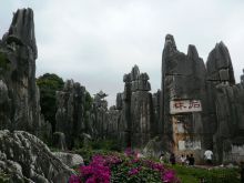 Каменный лес Шилинь (Китай)