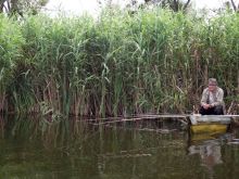 Река Рось. Улов здесь хороший (Киев и область)