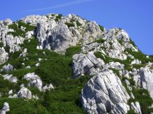 Рисняк. Путь на вершину горы. (Хорватия)