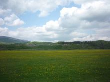 Вокруг - только степь, леса и горы (Карпаты и Закарпатье)