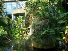 В оранжерее парка Феникс (Города французской Ривьеры)